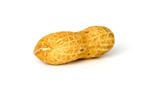 a shelled peanut