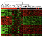 gene expression
