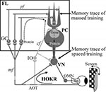 illustration of learning