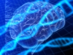 dna-brain dna-brain