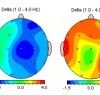 Berman_Figure5_small