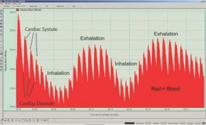 Figure 1 (Click To Enlarge)