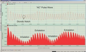 Figure 2 (click to enlarge)