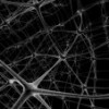 neurons_networked