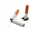 two crushed cigarettes