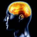 brain_imaging