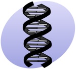 Parental Alcoholism Carries A Genetic Risk To Offspring DNA