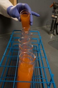 orange_high-fructose_syrup