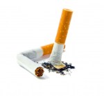 two crushed cigarettes