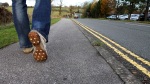 Walking