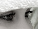 Young Lady