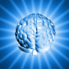 Human Brain Power