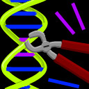 genetic manipulation