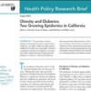 Cover of this month's UCLA Health Policy Brief