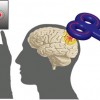 posterior parietal cortex of the brain receiving magnetic stimulation