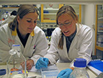 Researchers Karin Lindkvist and Maria Saline