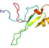 MECP2 Protein