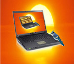 a blue-jay sitting on a laptop computer