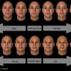 Faces May Look Male Or Female Depending On The Person’s Field Of View simulated faces used in the MIT face recognition study