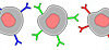 Countering ‘Memory Loss’ In The Immune System Immune System cells