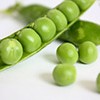 Children Who Do Not Eat Adequate Fruits And Vegetables Experience Higher Rates Of Constipation green peas