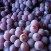 purple grapes