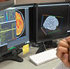 Researcher reviewing brain images