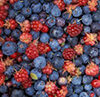berries
