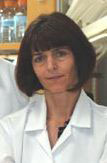 Researcher Margot Mayer-Proschel, Ph.D.