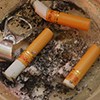 an astray full of nasty cigarettes