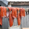 Eskimo Diet Rich In Omega-3 Fats May Reduce Risk Of Obesity-Related Disease salmon drying out