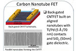 Biomimetic-Fabricated-Carbon-Nanotube Biomimetic Fabricated Carbon Nanotube