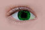 Sight Requires Exact Pattern Of Neural Activity To Be Wired In The Womb human eye