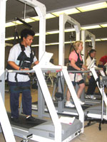 participants on the treadmill