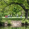 Green Environments Are Essential For Human Health outdoors