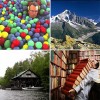 scenes from the memory study