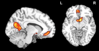 teen-culture-study teen culture study