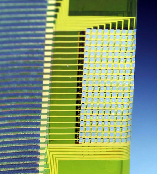 brainelectrodesstudy BMED Report