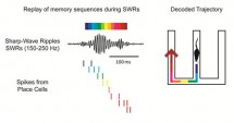 graph showing neuronal activity